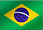BRAZIL 국기